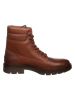 Tommy Hilfiger Shoes Boots in Braun