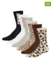 DKNY 6er-Set: Socken in Bunt