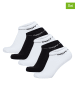 DKNY 5er-Set: Socken in Weiß/ Schwarz