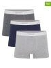 DKNY 3er-Set: Boxershorts in Dunkelblau/ Grau
