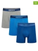DKNY Bokserki (3 pary) w kolorze niebiesko-szarym