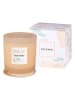 AVA & MAY Duftkerze "Aruba" in Beige - 500 g