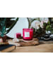 AVA & MAY Duftkerze "Havanna" in Pink - 500 g