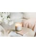 AVA & MAY Duftkerze "Paris" in Beige - 380 g