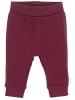 Sterntaler® Sweathose in Bordeaux
