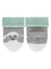 Sterntaler Baby-Socken in Grau