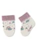 Sterntaler Baby-Socken in Creme