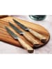 Björn 6tlg. Steakmesser-Set "Jakob" - je (L)13 cm
