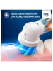 Oral-B Elektr. Zahnbürste "Vitality Pro 103 Frozen" in Hellblau
