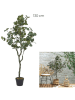 Ethnical Life Kunstplant groen - (H)130 x Ø 40 cm