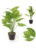 Garden Spirit Kunstplant groen - (H)55 x Ø 13 cm - (verrassingsproduct)