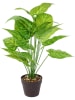 Garden Spirit Kunstplant groen - (H)55 x Ø 13 cm - (verrassingsproduct)