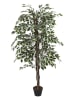Garden Spirit Kunstplant groen - (H)80 x (H)170 cm