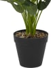THE HOME DECO FACTORY Kunstplant groen - (H)14,5 x (H)80 cm