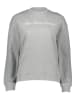 Pepe Jeans Pullover in Grau