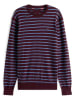 Tommy Hilfiger Trui bordeaux/lichtblauw