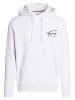 TOMMY JEANS Hoodie in Hellgrau