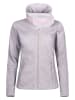 Bench Sweatjacke "Haylo" in Grau