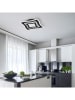 FISCHER & HONSEL Lampa sufitowa LED "Gorden" w kolorze czarnym - 32,5 x 32,5 cm