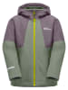 Jack Wolfskin Winterjas "Actamic" groen