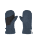 Jack Wolfskin Fäustlinge "Fleece" in Dunkelblau