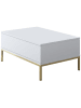 Evila Salontafel "Lord" wit/goudkleurig- (B)90 x (H)40 x (D)60 cm