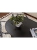 Evila Couchtisch ''Sable'' in Schwarz - (B)119 x (H)39,8 x (T)60 cm