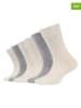 camano 6er-Set: Socken in Beige/ Grau