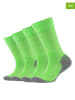camano 4er-Set: Socken in Grün