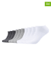 s.Oliver 10er-Set: Socken in Weiß/ Grau/ Anthrazit