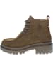 U.S. Polo Assn. Boots lichtbruin