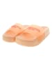 U.S. Polo Assn. Slippers oranje