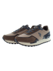 U.S. Polo Assn. Sneakers bruin/donkerblauw