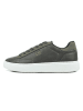 GAP Sneakersy "Alaska Blk" w kolorze khaki
