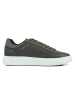 GAP Sneakersy "Alaska Blk" w kolorze khaki