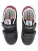 U.S. Polo Assn. Sneakers zwart