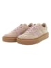 U.S. Polo Assn. Sneakers in Beige/ Rosa