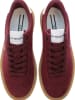U.S. Polo Assn. Sneakers rood