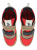 U.S. Polo Assn. Sneakers in Hellbraun/ Rot
