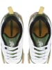 U.S. Polo Assn. Sneakers in Weiß/ Beige/ Grün