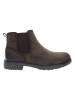 U.S. Polo Assn. Chelsea-Boots in Braun