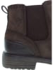 U.S. Polo Assn. Chelsea-Boots in Braun