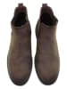 U.S. Polo Assn. Chelsea-Boots in Braun