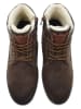 U.S. Polo Assn. Boots in Braun
