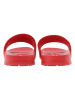 U.S. Polo Assn. Slippers rood