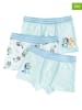 COOL CLUB 3-delige set: boxershorts lichtblauw/wit