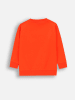 Coccodrillo Sweatshirt in Orange