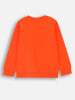 Coccodrillo Sweatshirt in Orange