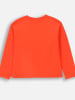 Coccodrillo Longsleeve in Orange