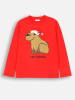 Coccodrillo Longsleeve in Rot